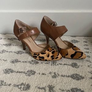Arturo Chiang leopard print pump 7.5”